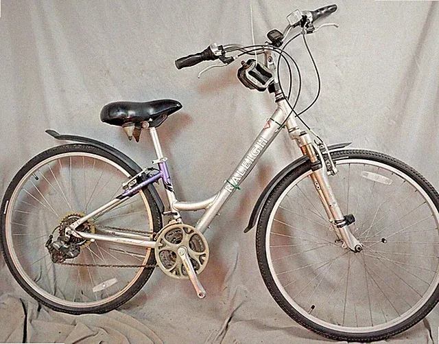 2020 Raleigh Passage 3.0 Hybrid Bike 16" Small Shimano Grip V-Brakes women